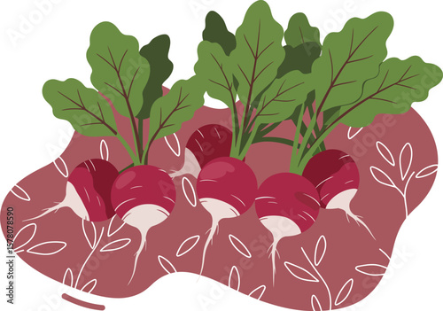 Fresh red beetroots with green leaves natural vegetable illustration on white background for healthy food design 