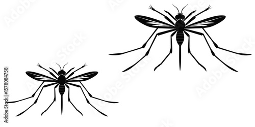  abstract, animal, ant, background, biology, bite, black, bloodsucker, bug, cartoon, closeup, control, dangerous, dengue, design, disease, epidemic, flat, fly, gnat, graphic, icon, illustration, infec
