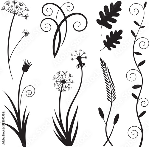Diverse Dandelion Floral and Botanical Leaf Silhouettes for Nature-Themed Vector Art, Whimsical Wildflower and Foliage Elements for Crafts and Decor
