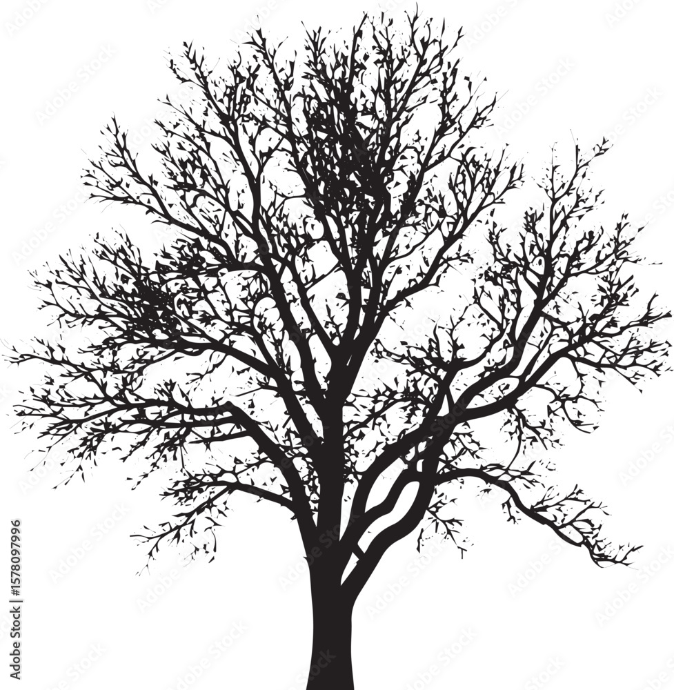 Obraz premium A single bare black vector tree silhouette with branches, isolated on a white background, perfect for any season or landscape illustration