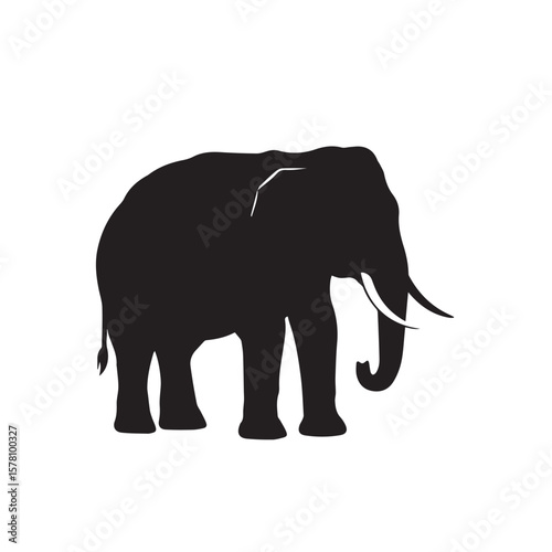 elephant isolated on white background and black elephant, beautiful,   wildlife, white, large, wild, safari, animals, walking, standing, silhouette, zoo, baby
