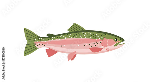 Colorful Illustration of a Rainbow Trout on a Clean White Background for Design