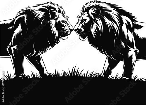 Majestic lions facing each other on grassy terrain