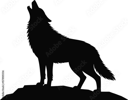 Black wolf howling on rocky outcrop silhouette animal