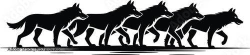 Five wolves walking in unison pack animals