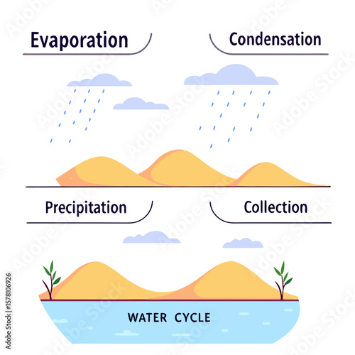 Water Cycle Vector Illustration