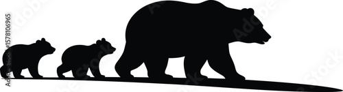 Bear family walking together cubs silhouette