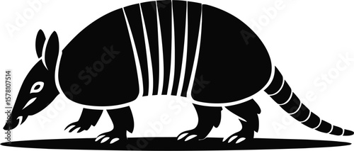 Black armadillo walking white animal