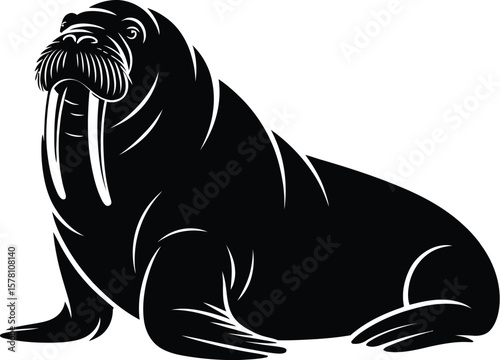 Black walrus with tusks marine mammal white background