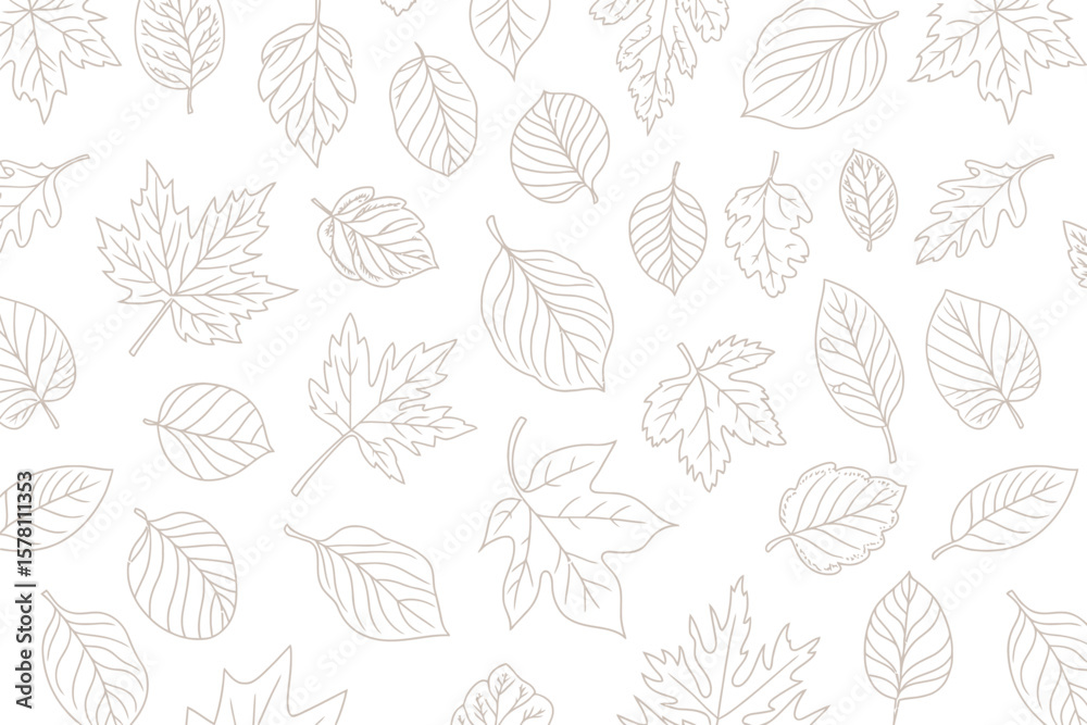 Delicate outline drawing presents a beautiful autumn leaves background pattern with a seamless, elegant design against a white surface.