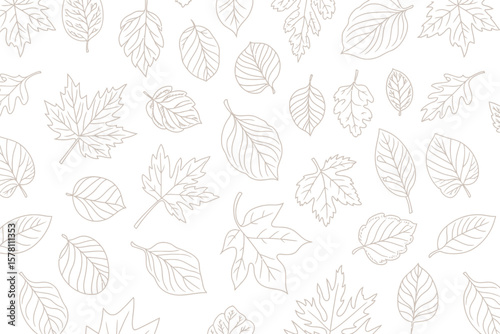 Delicate outline drawing presents a beautiful autumn leaves background pattern with a seamless, elegant design against a white surface.