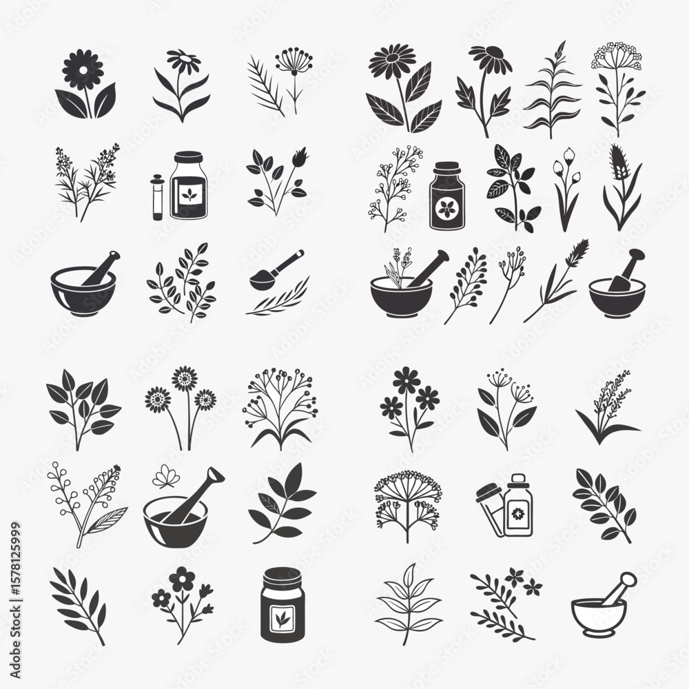 Fototapeta premium Medicinal Herbs Line Icon Collection