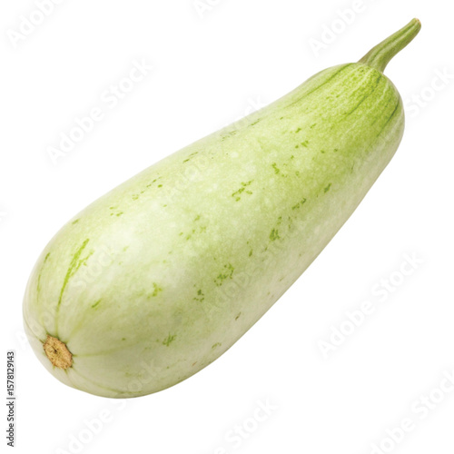bottle gourd vegetable transparent