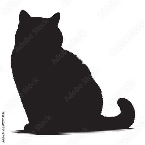 A black silhouette of a British Shorthair vector