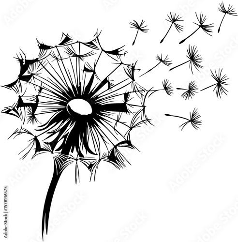 Line art drawing of a dandelion puffball with seeds blowing in the wind, single-stroke outline.
