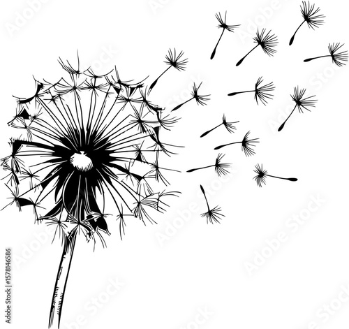 Line art drawing of a dandelion puffball with seeds blowing in the wind, single-stroke outline.
