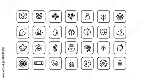 Collection of Minimalist Botanical and Natural Product Icons in Black and White