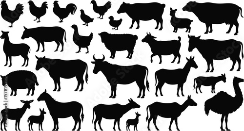 Livestock animals silhouettes vector farm animals collection domestic animals vector illustration set  character vector illustration.