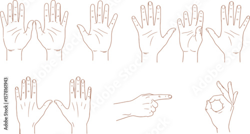 Illustration showing different hand poses including pointing and ok hand gesture
