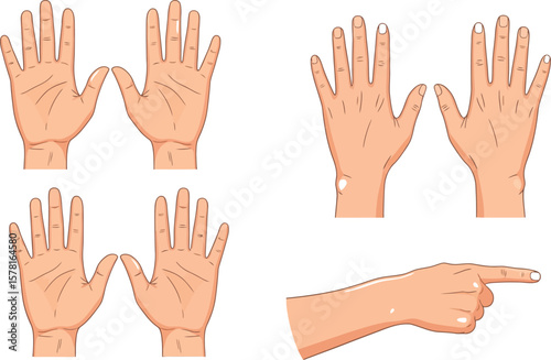 Illustration depicting four pairs of open hands and one pointing hand on white