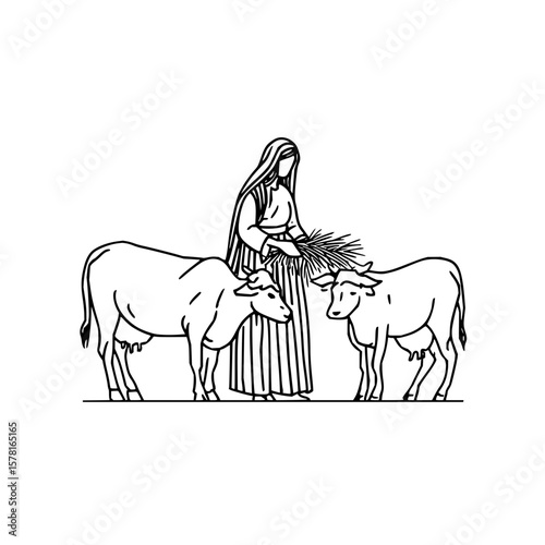 Vector illustration of a woman feeding two cows with fodder