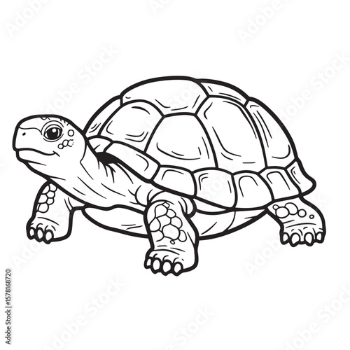 Simple black and white outline illustration of a walking tortoise perfect for coloring pages