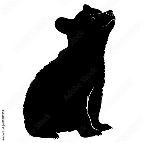 Black Silhouette of a Young Bear Cub Sitting Looking Upwards on a White Background