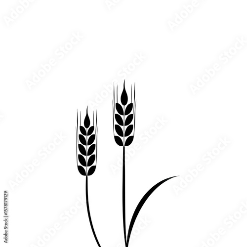 Two stylized black wheat ears with leaves isolated on white background