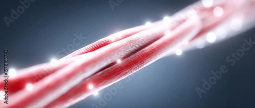 Fiber Optics: An abstract image of interconnected fiber optics emitting streams of light, symbolizing communication