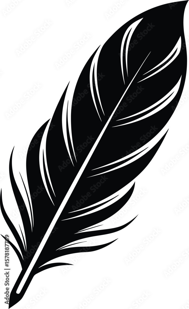 Obraz premium Single Feather Silhouette