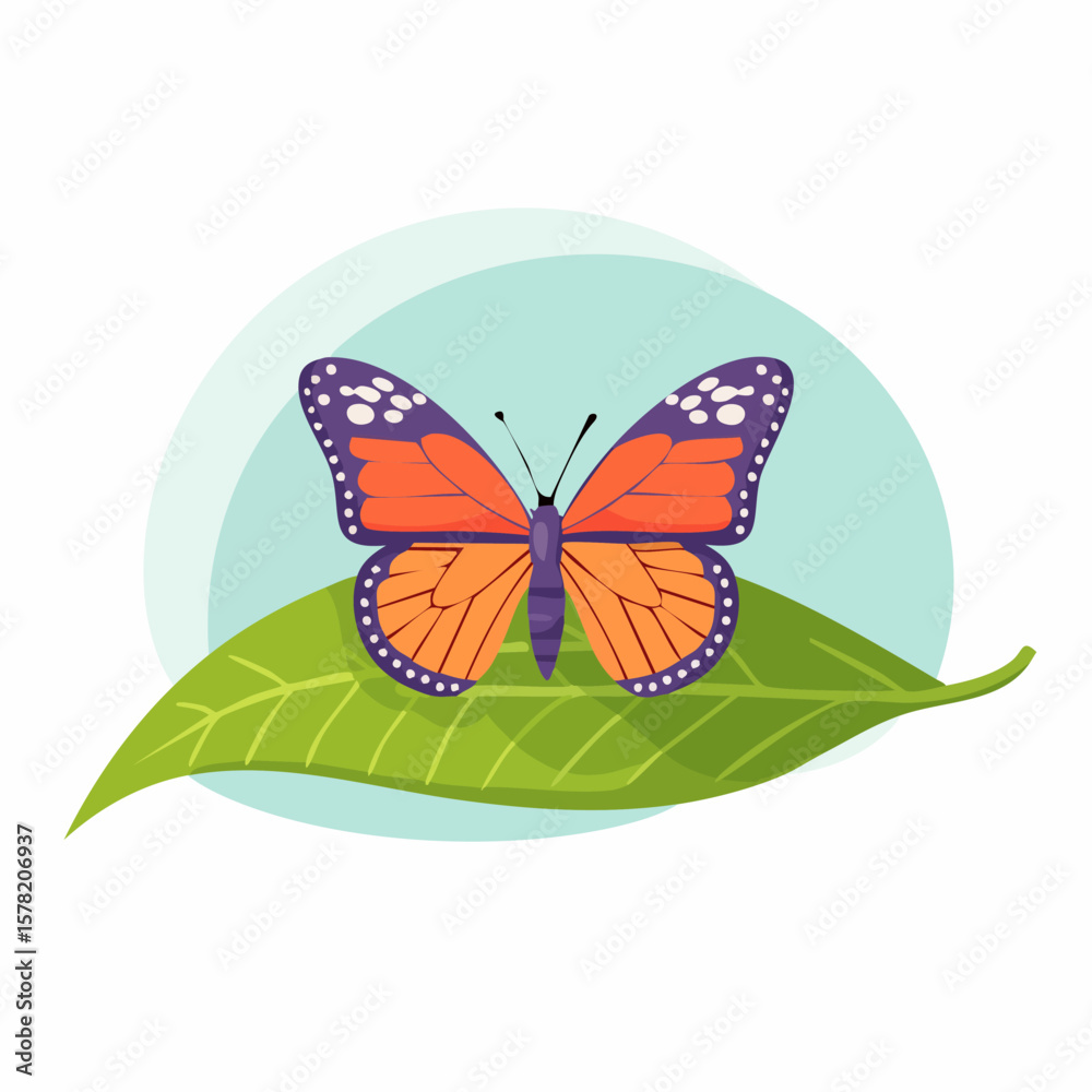Fototapeta premium Monarch Butterfly with Purple Wingtips Resting on a Green Leaf