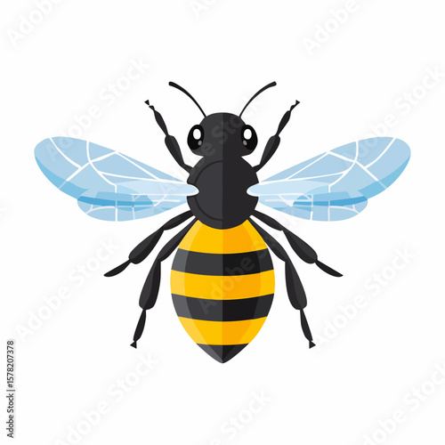 Vector Illustration of a Detailed, Striped Honeybee with Wings Spread