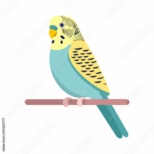 Colorful Budgie Perched on a Branch
