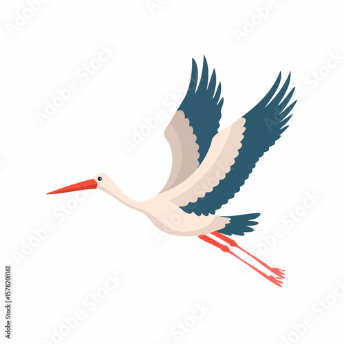 Elegant White Stork in Flight, Teal Wings Spread Wide