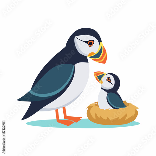 Adult Atlantic Puffin Watching Over Baby Chick in Nest
