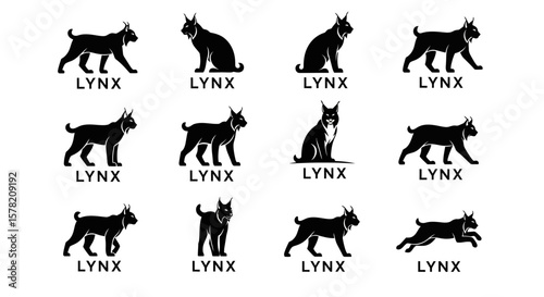 Collection of Black Lynx Silhouette Illustrations with Text on White Background