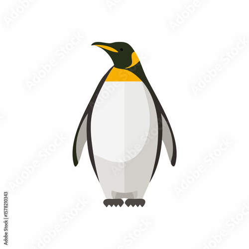 Upright King Penguin with Distinctive Yellow and Black Markings