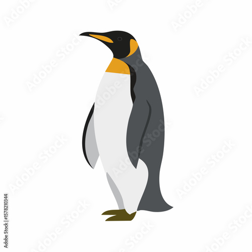 Elegant King Penguin Standing Proudly, Showcasing Distinctive Markings and Colors