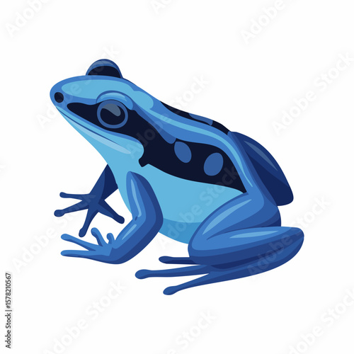 Vibrant Blue Poison Dart Frog with Distinctive Black Markings