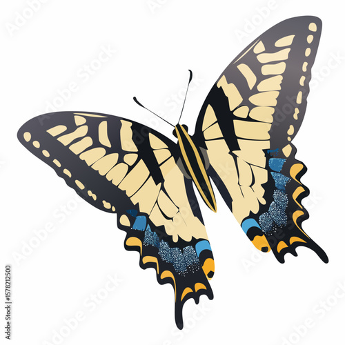 Striking Eastern Tiger Swallowtail Butterfly with Detailed Wing Markings Illustration