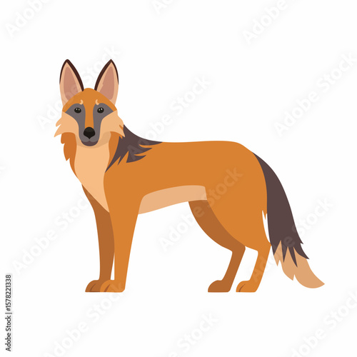 Stylized Maned Wolf Illustration Standing Proudly with Distinctive Features
