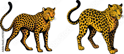 cheetah vinyl ready vector illustration