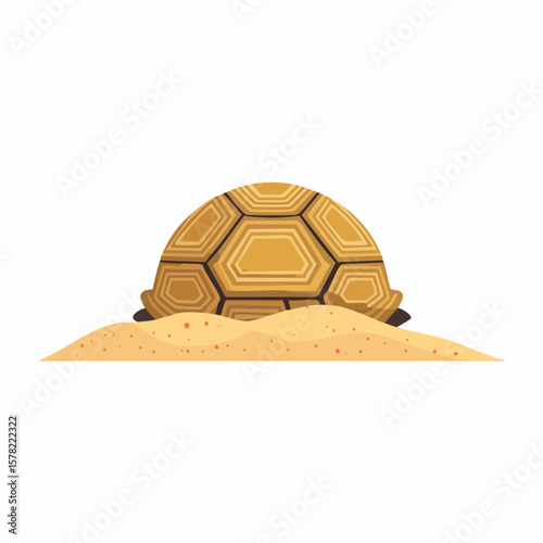 A Detailed Illustration of a Turtle Partially Buried in Sand