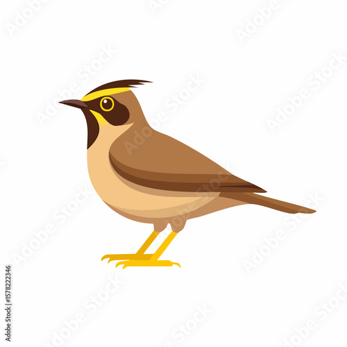 Detailed Illustration of a Horned Lark with Distinctive Feather Markings