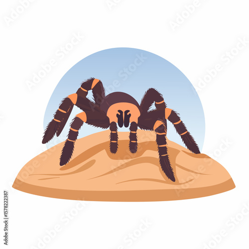 Detailed Illustration of a Tarantula with Striking Orange Leg Markings