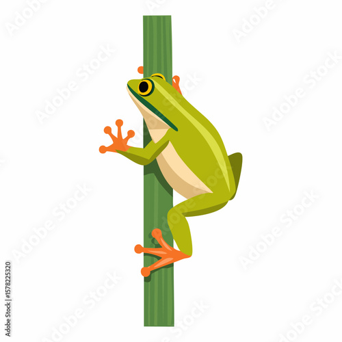 Vibrant Green Tree Frog Clinging to a Green Stalk with Orange Feet