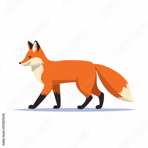 Stylized Walking Red Fox with Distinctive Orange and White Fur