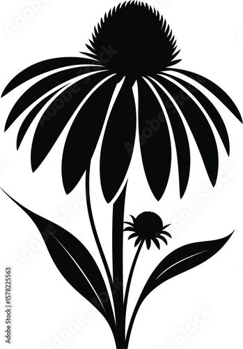 Black silhouette of coneflower plant vector