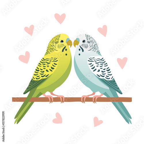 Two Colorful Budgies Perched Together, Sharing a Romantic Moment