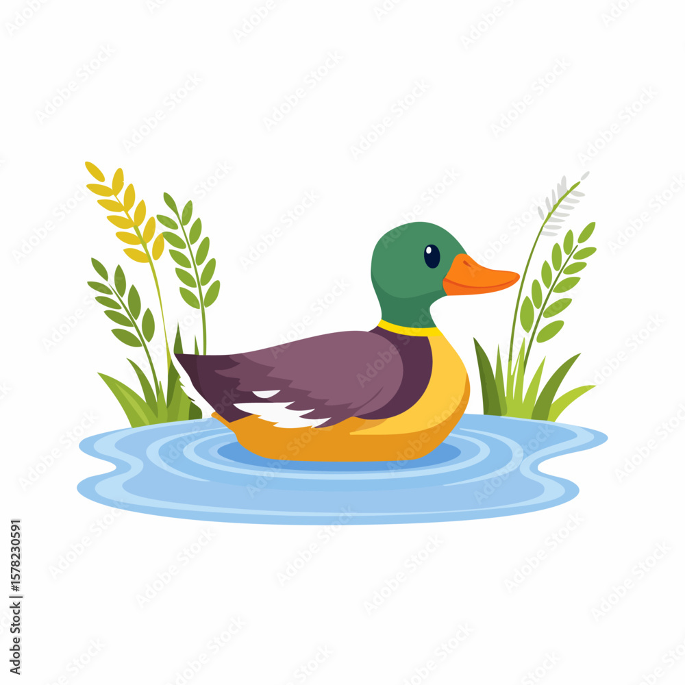 Obraz premium Colorful Duck Floating on Water with Green Head and Orange Beak